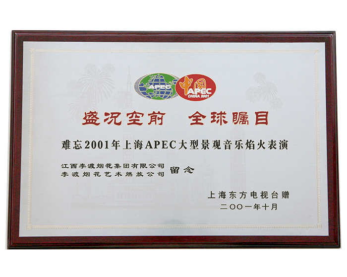 2001年上海APEC大型景观音乐焰火表演
