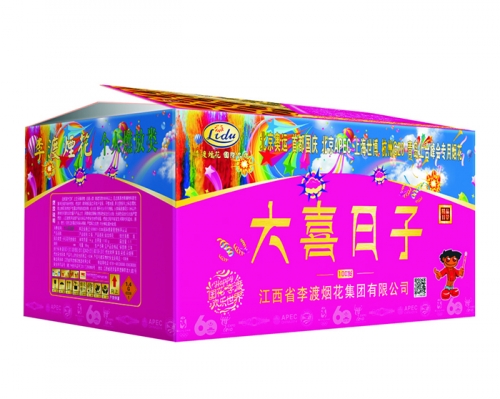 日景100发大喜日子